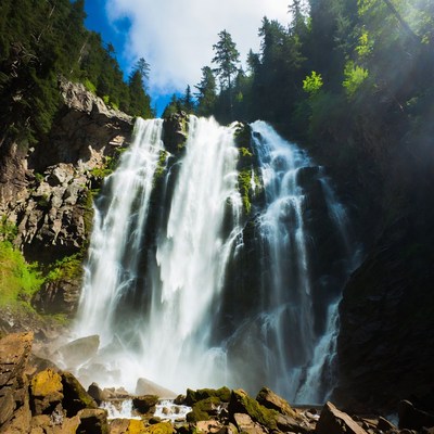 Majestic Waterfall in Forest