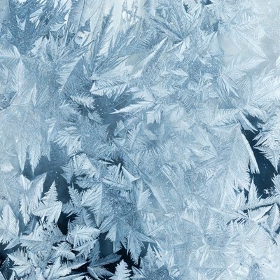 Intricate Frost Patterns on Window