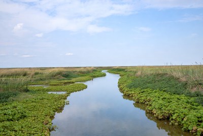 Winding Creek in Marshland