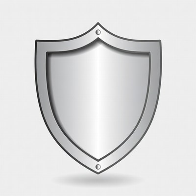 Silver Shield Icon