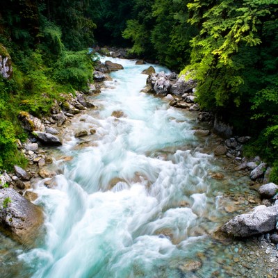 Mountain River Flowing Through Forest