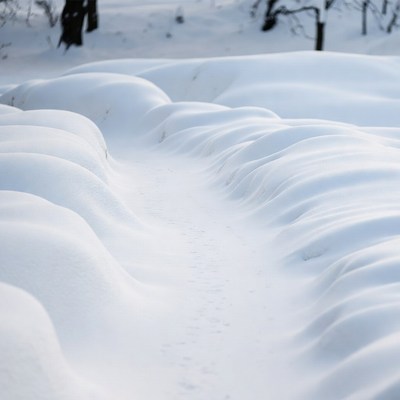 Snowy Path Through Drifts