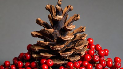 Pine Cone with Red Berries