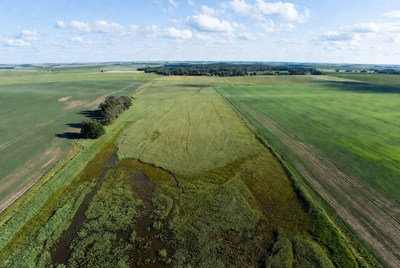 Aerial View of Wetland in Green Fields