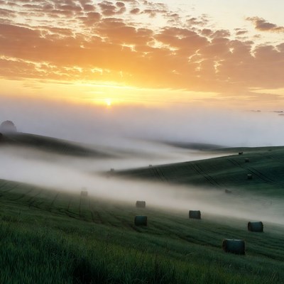 Sunrise over misty hay bales field