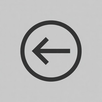 Circular Back Arrow Icon