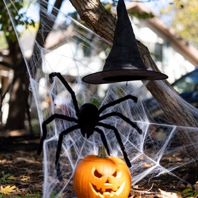 Black Spider on Pumpkin with Witch Hat