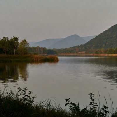 Serene Lake with Mountains and Reeds