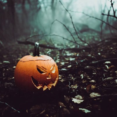 Jack-o'-lantern in foggy forest