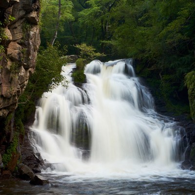 Waterfall cascading in lush green forest