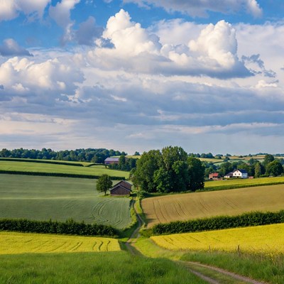 Scenic countryside fields with path