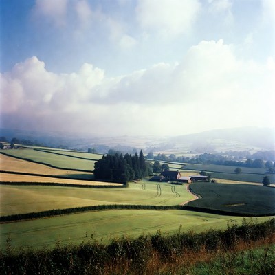 Fields and Farmhouse in Rolling Hills