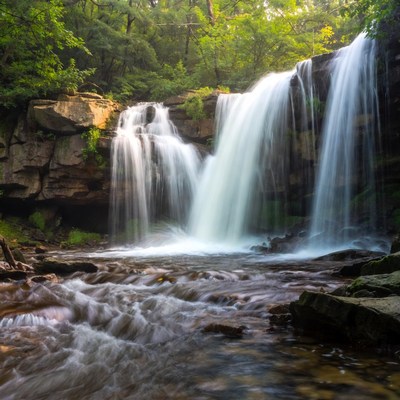 Waterfall cascading in lush green forest