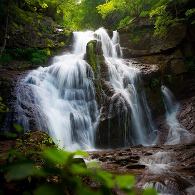 Majestic waterfall cascading in lush forest