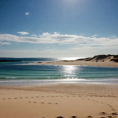 Sandy Beach with Footprints and Ocean Waves