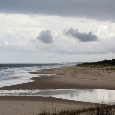 Stormy beach with ocean waves
