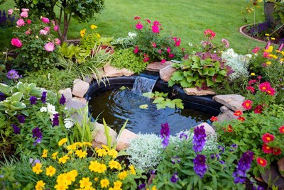Garden Pond with Waterfall and Flowers
