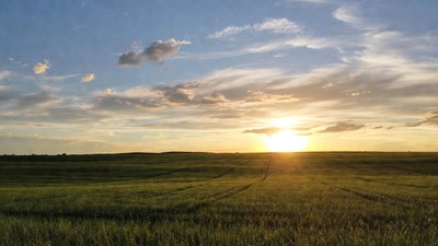 Sunset over green field