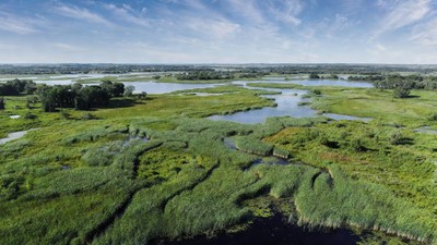 Aerial View of Lush Wetland Marshes