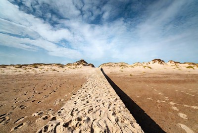 Sandy path through beach dunes