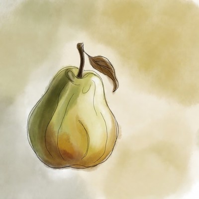 Watercolor pear illustration