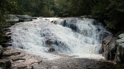 Cascading Waterfall in Forest