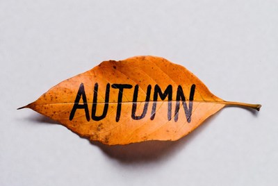Autumn Leaf with Handwritten Text