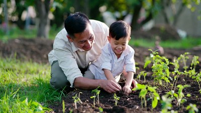 Asian father and son planting seedlings