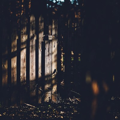 Wooden fence in autumn forest