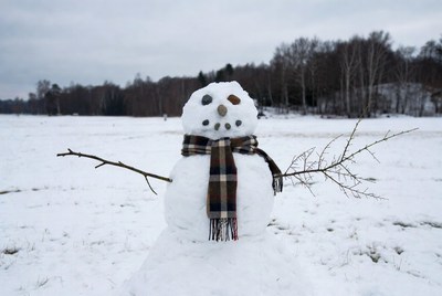 Snowman with scarf in snowy field