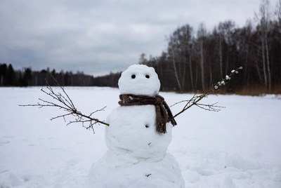 Snowman with scarf in snowy field