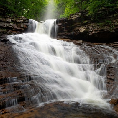 Waterfall cascading in lush forest