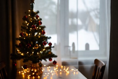 Small Christmas tree by window