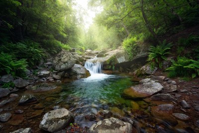 Waterfall cascading over rocks in lush forest