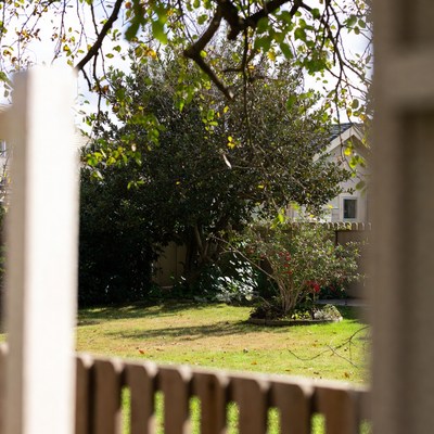 Garden through white picket fence