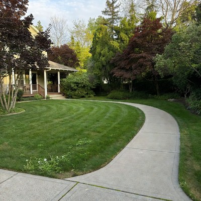 Yellow House with Curved Walkway
