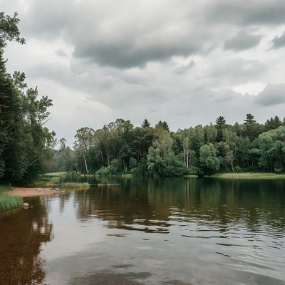 Forest Lake Under Cloudy Sky