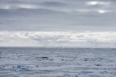 Frozen Arctic Sea Under Gray Clouds