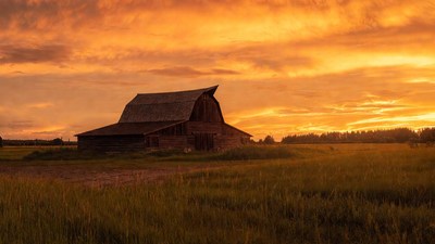 Red Barn in Field at Sunset