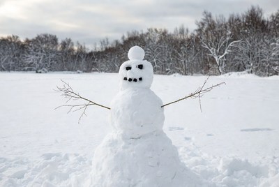 Snowman in snowy field with trees