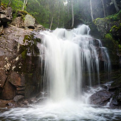 Waterfall cascading in lush forest