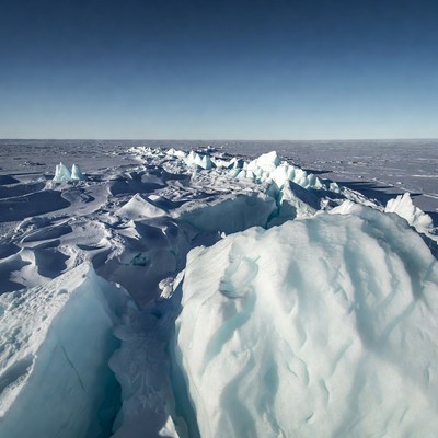 Icebergs on Arctic Sea Ice