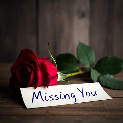 Red Rose with Missing You Card