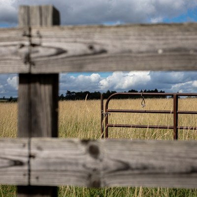 Wooden Fence Gate in Tall Grass Field