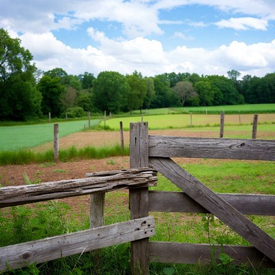 Old wooden fence in green farmland