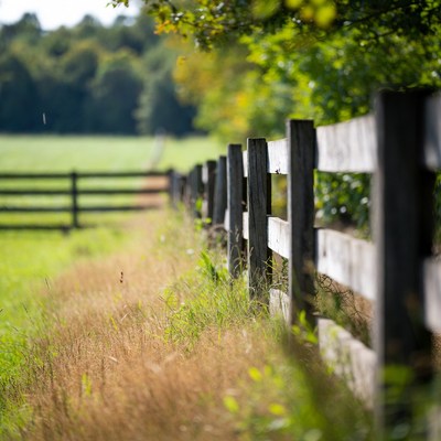 Wooden Fence in Green Field