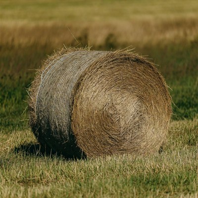 Hay Bale in Green Field