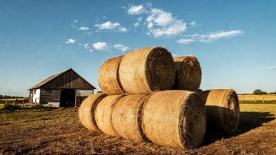 Hay Bales Stacked Near Barn