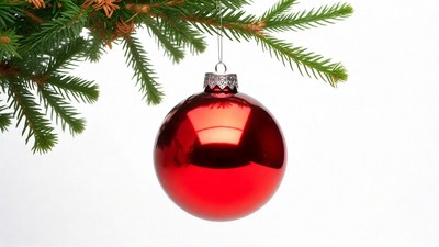Red Christmas ornament on fir branch