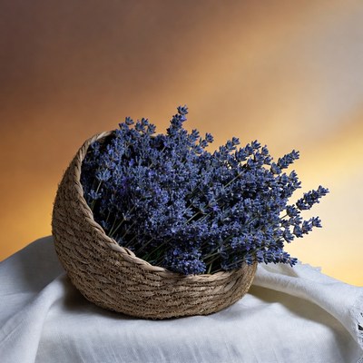 Lavender Bouquet in Wicker Basket